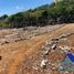  Grundstück zu verkaufen in San Felipe De Puerto Plata, Puerto Plata, San Felipe De Puerto Plata, Puerto Plata, Dominikanische Republik