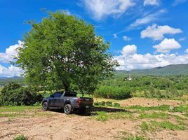  Grundstück zu verkaufen in Chiang Dao, Chiang Mai, Thung Khao Phuang, Chiang Dao