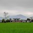 5 Bedroom Villa for sale in Chiang Rai, Huai Khrai, Mae Sai, Chiang Rai