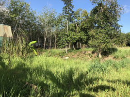  Land for sale in Thalang, Phuket, Thep Krasattri, Thalang