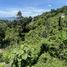  Land for sale in Phuket, Kamala, Kathu, Phuket