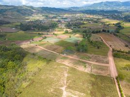  Grundstück zu verkaufen in Khao Kho, Phetchabun, Khaem Son