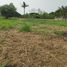  Land for sale in Mueang Phitsanulok, Phitsanulok, Tha Thong, Mueang Phitsanulok