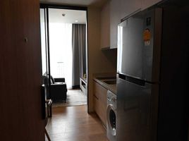 1 Bedroom Condo for rent at Noble Around Sukhumvit 33, Khlong Tan Nuea, Watthana, Bangkok, Thailand
