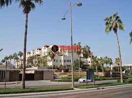 3 बेडरूम अपार्टमेंट for sale at Al Badia Residences, Creek Beach, दुबई क्रीक हार्बर (द लैगून)