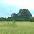  Land for sale in Cha-Am, Phetchaburi, Na Yang, Cha-Am