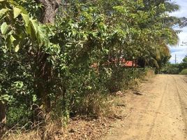  Grundstück zu verkaufen in Hojancha, Guanacaste, Hojancha