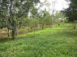 2 Schlafzimmer Villa zu verkaufen in Turrialba, Cartago, Turrialba, Cartago, Costa Rica