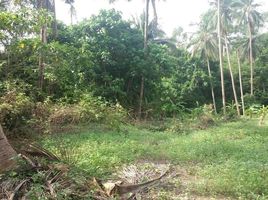  Land for sale in Surat Thani, Bo Phut, Koh Samui, Surat Thani