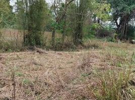  Земельный участок for sale in Phetchabun, Nam Nao, Nam Nao, Phetchabun