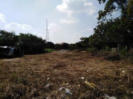  Land for sale in Nakhon Ratchasima, Muen Wai, Mueang Nakhon Ratchasima, Nakhon Ratchasima