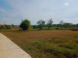  Land for sale in Nai Mueang, Mueang Chaiyaphum, Nai Mueang