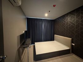 1 Schlafzimmer Wohnung zu vermieten im Elio Del Nest, Bang Na, Bang Na, Bangkok