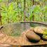 1 Schlafzimmer Villa zu verkaufen in Gianyar, Bali, Ubud
