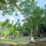  Grundstück zu verkaufen in Mueang Krabi, Krabi, Ao Nang, Mueang Krabi, Krabi, Thailand