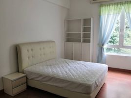 Studio Penthouse zu vermieten im 8 ADRIATICO, Ermita