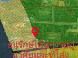  Grundstück zu verkaufen in Amphawa, Samut Songkhram, Bang Chang, Amphawa
