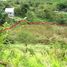  Land for sale in Panama, Plaza Caisan, Renacimiento, Chiriqui, Panama