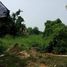  Land for sale in Phichit, Ngio Rai, Taphan Hin, Phichit