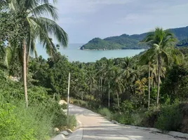  Grundstück zu verkaufen in Koh Phangan, Surat Thani, Ban Tai, Koh Phangan