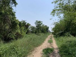  Land for sale in Khlong Ha, Khlong Luang, Khlong Ha