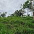  Land for sale in Perez Zeledon, San Jose, Perez Zeledon