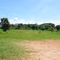  Land for sale in Nong Yaeng, San Sai, Nong Yaeng