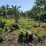  Land for sale in Agutaya, Palawan, Agutaya