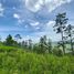  Land for sale in Valle De Angeles Francisco Morazan, Valle De Angeles, Francisco Morazan