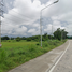  Land for sale in In Buri, In Buri, In Buri