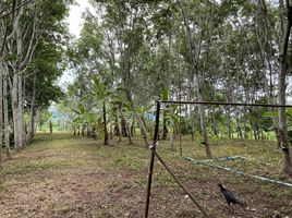  Land for sale in Kanchanaburi, Hin Dat, Thong Pha Phum, Kanchanaburi