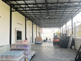 2 Bedroom Warehouse for sale in Lat Lum Kaeo, Pathum Thani, Na Mai, Lat Lum Kaeo