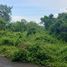  Land for sale in Thalang, Phuket, Mai Khao, Thalang