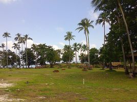  Land for sale in Samui International Airport, Bo Phut, Bo Phut