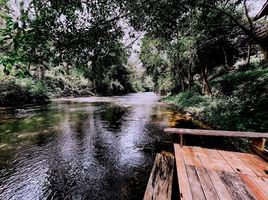  Grundstück zu verkaufen in Chiang Dao, Chiang Mai, Chiang Dao, Chiang Dao