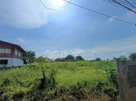  Grundstück zu verkaufen in Mueang Ang Thong, Ang Thong, Sala Daeng