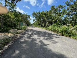  Grundstück zu verkaufen in Cozumel, Quintana Roo, Cozumel, Quintana Roo