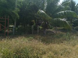  Land for sale in Thep Mongkhon, Bang Sai, Thep Mongkhon