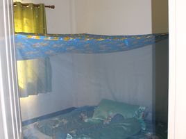 ขายทาวน์เฮ้าส์ 3 ห้องนอน ในโครงการ กัลปพฤกษ์ การ์เด้นท์ บางนา, บางบ่อ, บางบ่อ, สมุทรปราการ