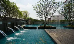 Fotos 2 of the Communal Pool at The Room Sukhumvit 62