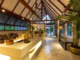 4 Bedroom Villa for rent in Koh Phangan Surat Thani, Koh Phangan, Koh Phangan