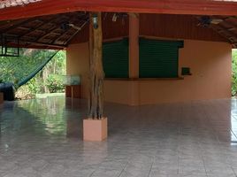 1 Schlafzimmer Haus zu verkaufen in Nicoya, Guanacaste, Nicoya, Guanacaste