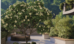 Фото 2 of the Communal Garden Area at Sunny Moon