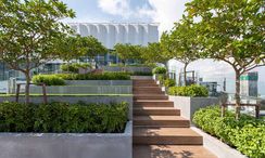 รูปถ่าย 2 of the Communal Garden Area at ไลฟ์ อโศก พระราม 9