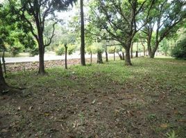  Land for sale in Guanacaste, Bagaces, Guanacaste