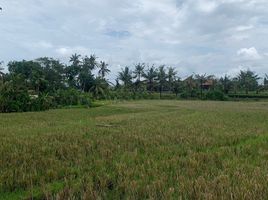  Grundstück zu verkaufen in Badung, Bali, Canggu