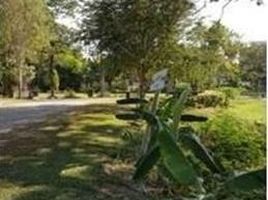  Land for sale in The Prince Royal's College, Wat Ket, Fa Ham