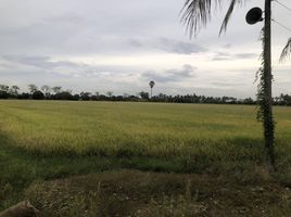  Land for sale in Chai Nat, Pho Ngam, Sankhaburi, Chai Nat