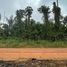  Land for sale in Amazonas, Bagua, Amazonas