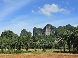  Grundstück zu verkaufen in Mueang Krabi, Krabi, Nong Thale, Mueang Krabi